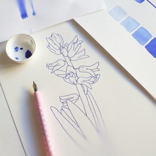 kresba inkoustem hyacint