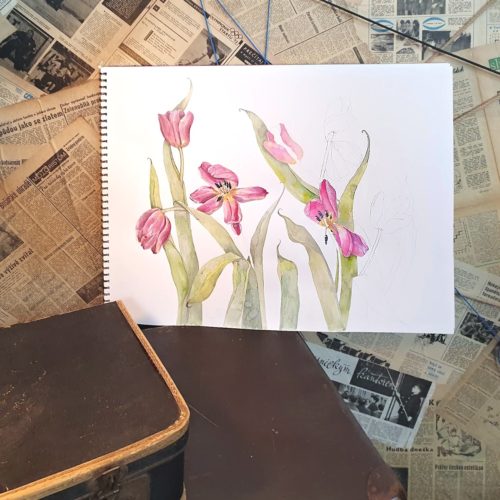 jak kreslit tulipány návod