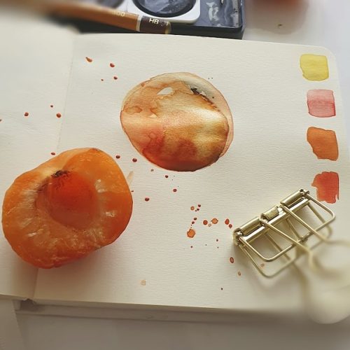jak malovat meruňku vodovými barvami