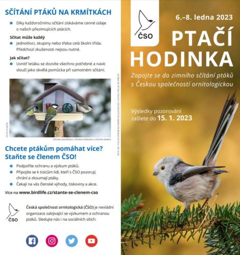 ptačí hodinka leták Česká společnost ornitologická
